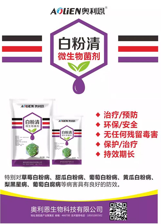 �׷۲�������(f��)�y�p���� ӛס�@��(g��)ˎ����Ч���ΰ׷۲����P����