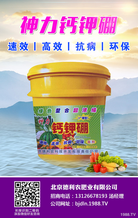 ���¹ϷNֲǰ����������¹ϷNֲҪ�c(di��n)��