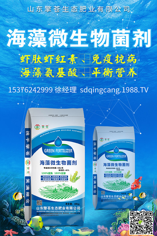 尿素價(jià)格跌出新價(jià)!2019年11月初尿素行情走勢分析及后市預(yù)測!