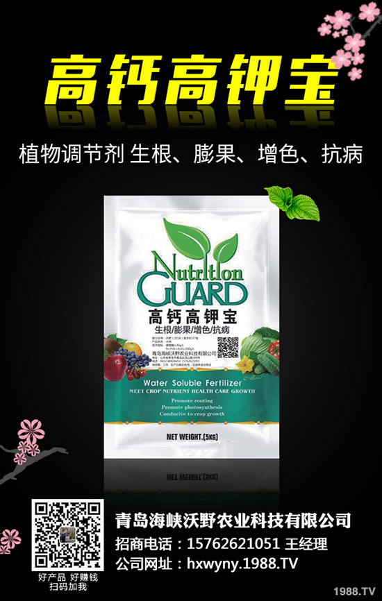 С�����s��ʲô�r����θ�����С���s�ݽ�Q������