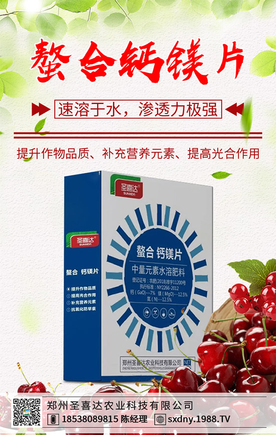 ���E��ʲô�@ô���˚gӭ�����E���Ј��������