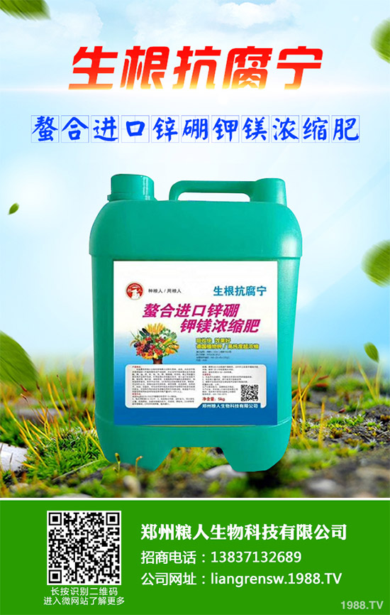 ���E����Щ�I(y��ng)�B(y��ng)�r(ji��)ֵ�����E�ĠI(y��ng)�B(y��ng)�r(ji��)ֵ����Ч����