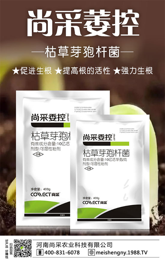 �����ݮ���ɼ����������������ݮʩ��Ҫ�c��