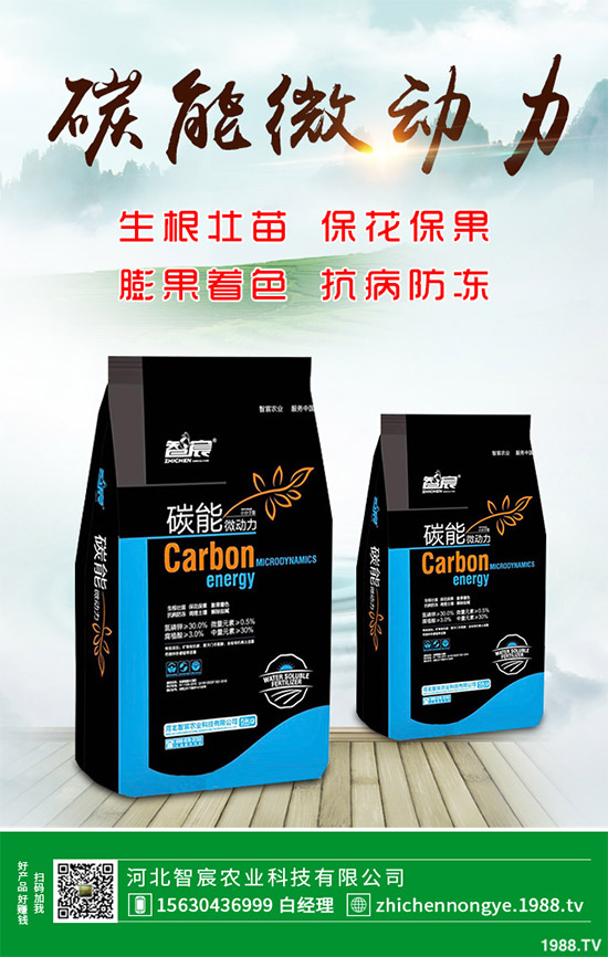 ħ��ԓ��ô�N��ħ��߮a(ch��n)�Nֲ��������