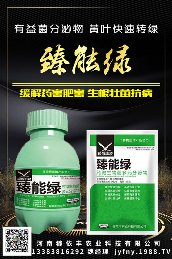 ��N�S�ʺܳ�Ҋ��Ԫ�غ�������������Ҫ֪���c�M��������