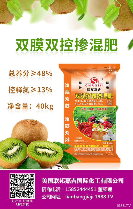 貢菊花該如何栽培？貢菊花高產(chǎn)栽培技術(shù)