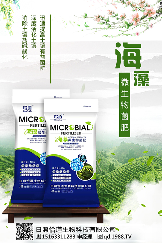 龍膽草的分布地區(qū)，龍膽草的功效與作用！