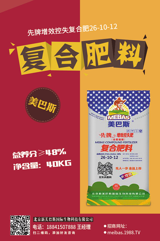 2019��11��17�Շ���(n��i)�ͺϷ���������������������S��r��