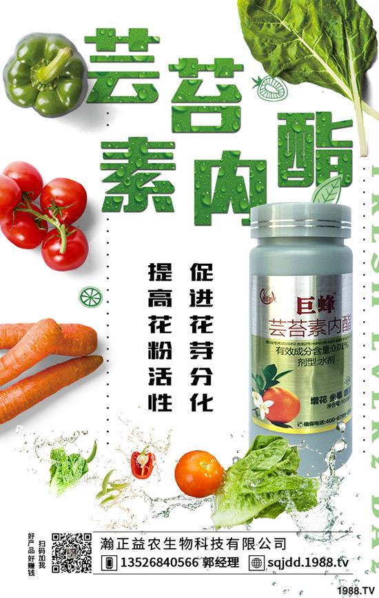 �����߲˲ɹ��ʵ�Σ���������ߴ����߲˲ɹ�����