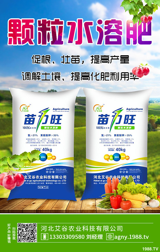 生姜什么時候種，生姜的種植條件有哪些？