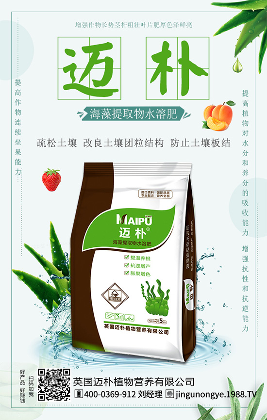 吃柑橘有什么好處?柑橘的營養(yǎng)價(jià)值!