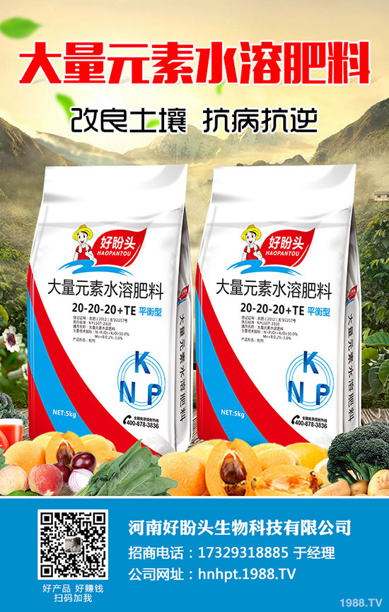 小麥冬灌的好處有哪些，小麥冬灌注意要點！