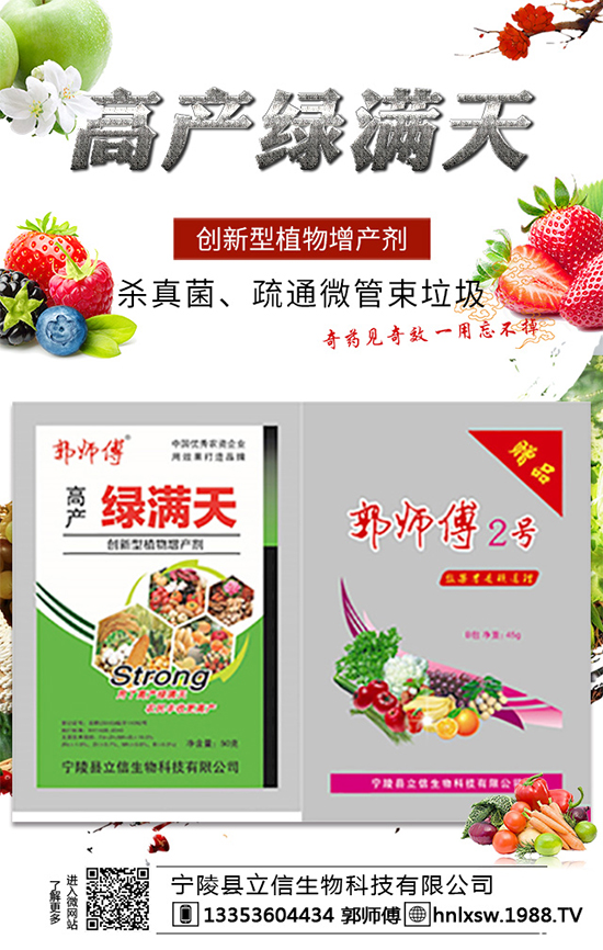 辣椒種子怎么進(jìn)行浸泡處理？辣椒種子的催芽方法及好處！