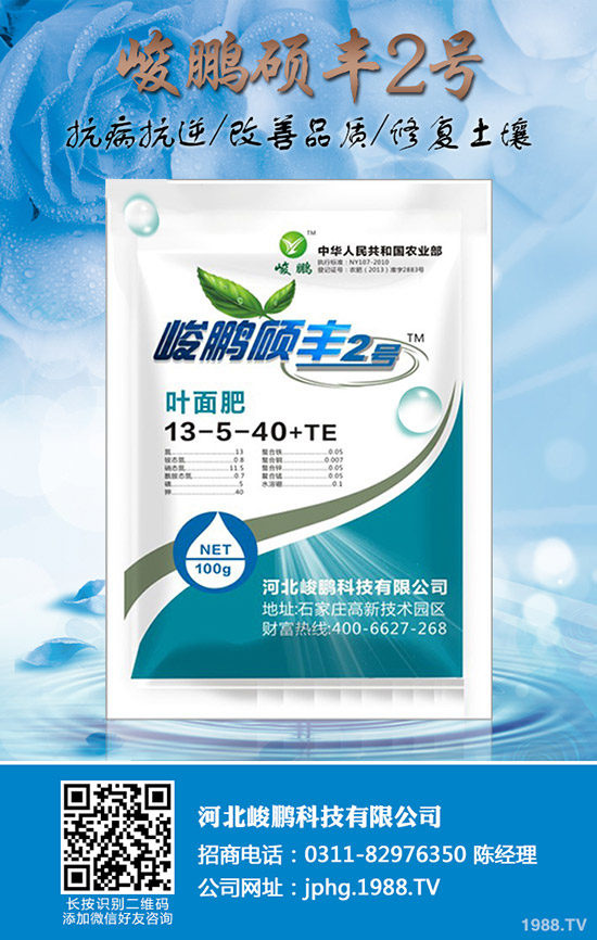 ����ʲô�r��׷�ʣ�����׷��ע��Ҫ�c(di��n)��