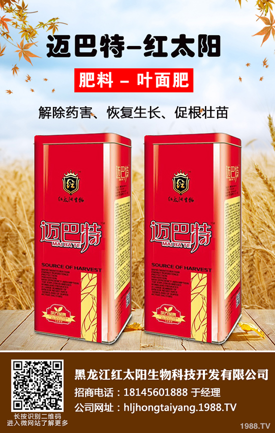 ⛷ʃr(ji��)���ǝq�ǵ���2019-12-21��(gu��)��(n��i)����⛷ʃr(ji��)���߄�(sh��)����