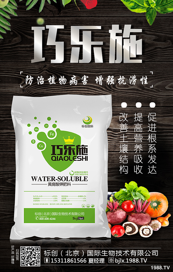 ��Ϟ���缼�g(sh��)Ҫ�c