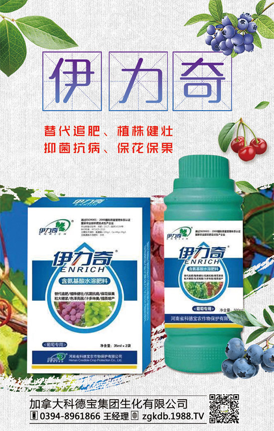     �R�����P(gu��n)�����@�����Ƿ��ϸ���2020����@�r(ji��)�������߄�(sh��)�A(y��)�y(c��)��