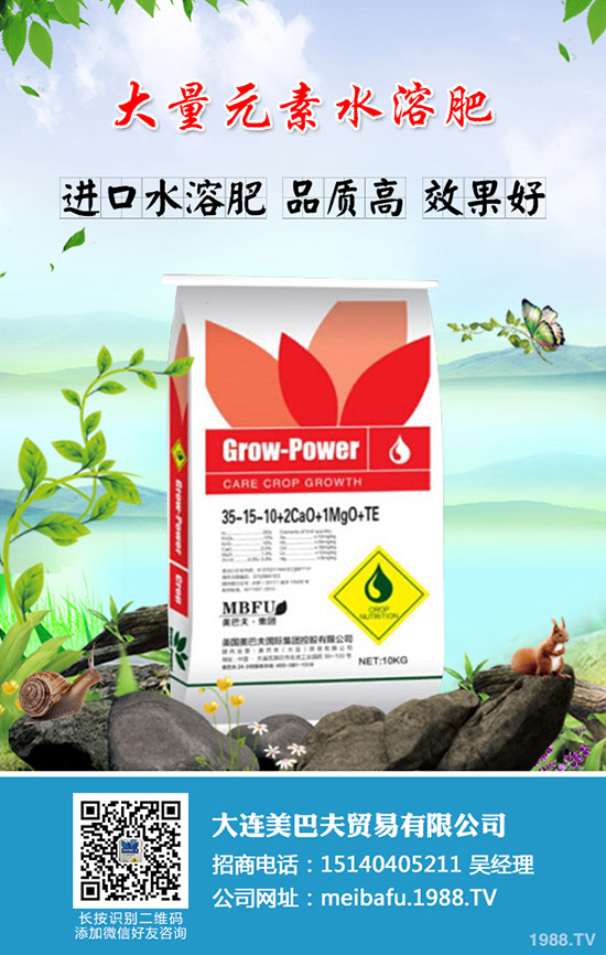     2019��12ĩ⛷ʃr(ji��)���߄�(sh��)ƽƽ��2020���Ƿ���ͻ�������������A(y��)�y(c��)��