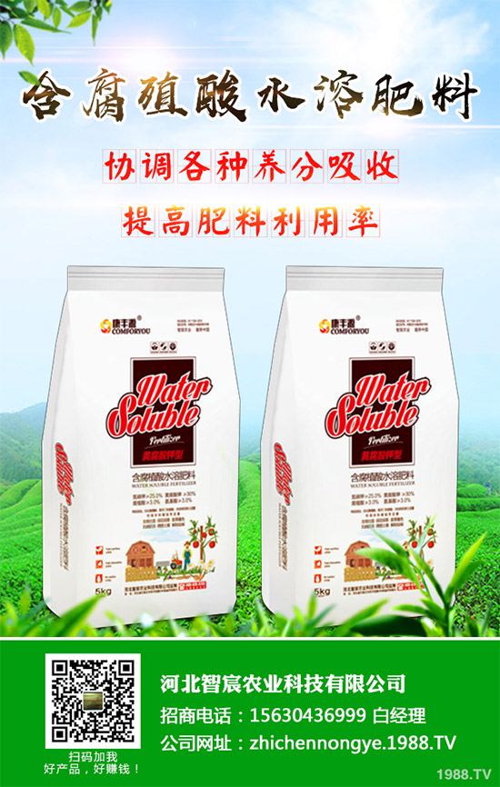 �G����ԓ��ô�N���G���˵ĸ߮a(ch��n)�Nֲ���g(sh��)