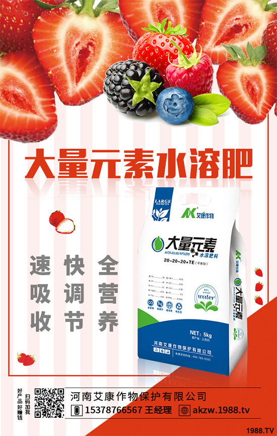 老虎姜該怎么種植？老虎姜高產(chǎn)種植技術(shù)管理