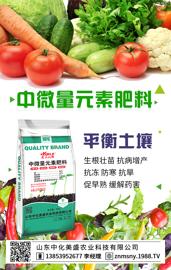 ��乽��ηNֲ����乽�ķNֲ���g(sh��)��