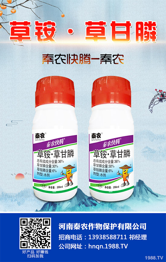 Prentiss�������������s�ݳ��݄�Camp-D ��2��4-D�Ͱ��������