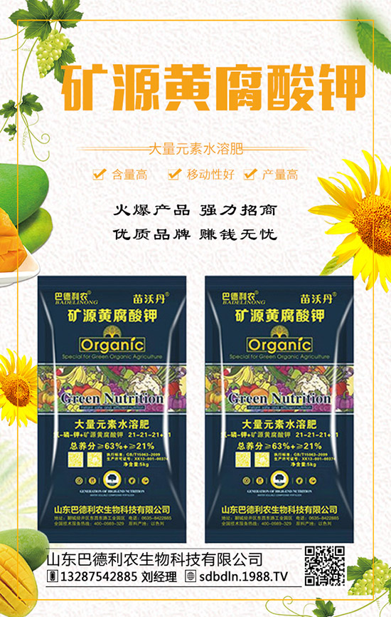     �ͺϷ�����q�����F��2019��12��ĩ���r���߄��A�y��