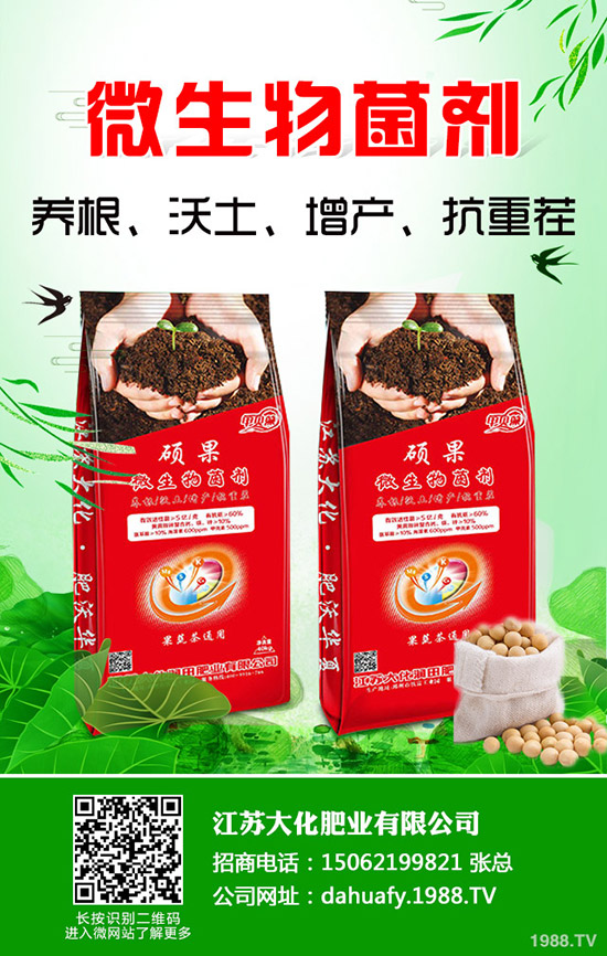香菜一畝產(chǎn)量是多少？2020種植香菜賺錢(qián)嗎？前景和成本利潤(rùn)如何？
