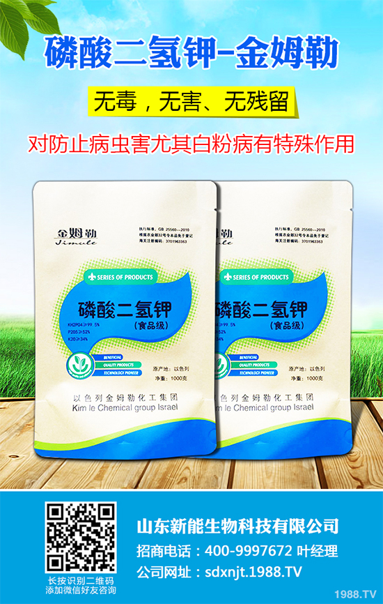 ħ��r������Xһ����2020��ħ��Nֲ���Ј�����