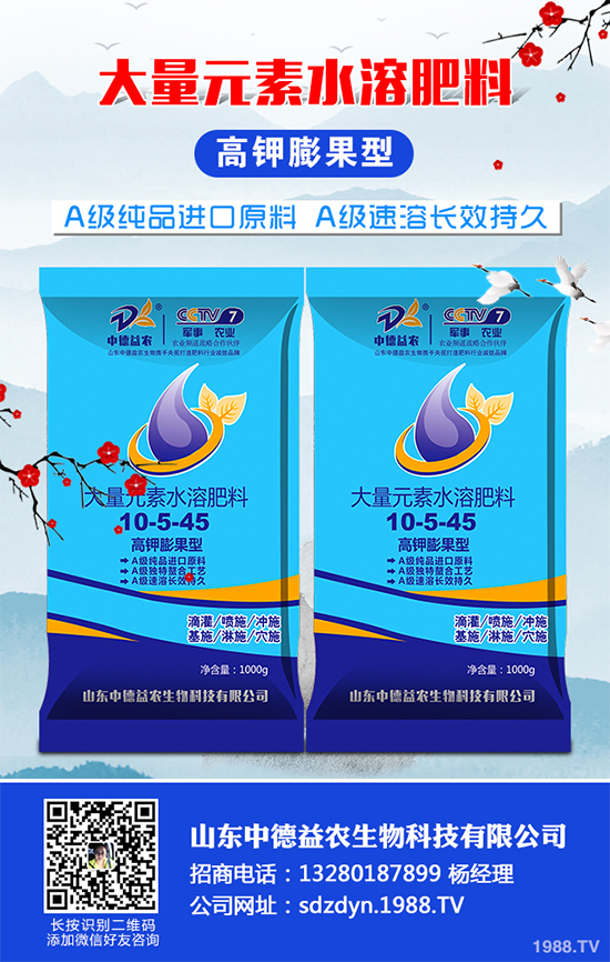 魔芋有哪些營(yíng)養(yǎng)價(jià)值?魔芋的營(yíng)養(yǎng)價(jià)值及功效作用