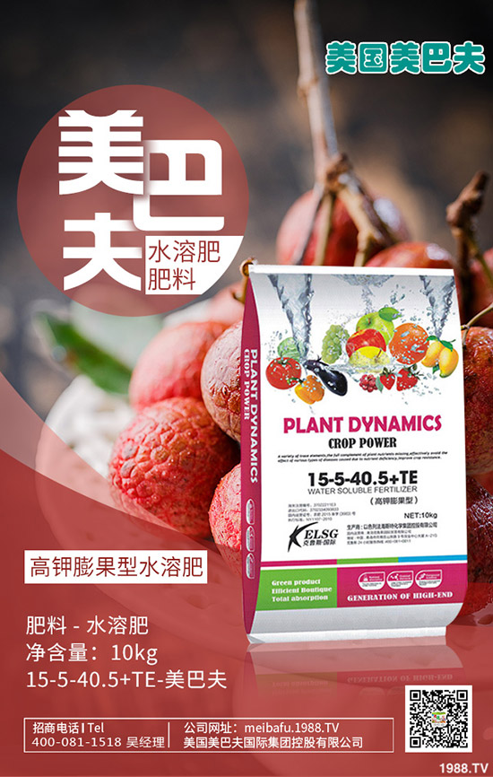 構(gòu)樹產(chǎn)地在哪里?種植構(gòu)樹國(guó)家還補(bǔ)貼!2020構(gòu)樹種植前景如何?賺錢嗎?