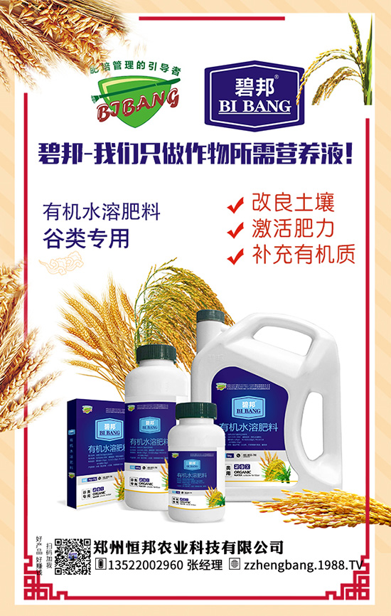 ����������Щ��̎������Ĺ�Ч���ü�ʳ�ý���