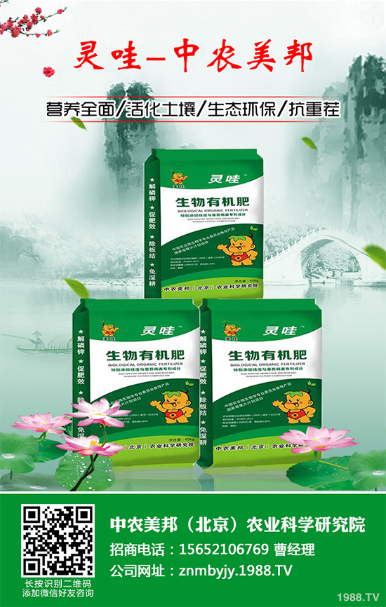 ����������Щ��̎������Ĺ�Ч���ü�ʳ�ý���