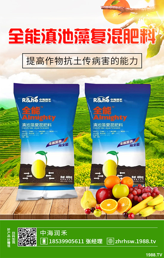 ���r����͸���������Щ�^(q��)�e���ǂ�Ч�����ã�