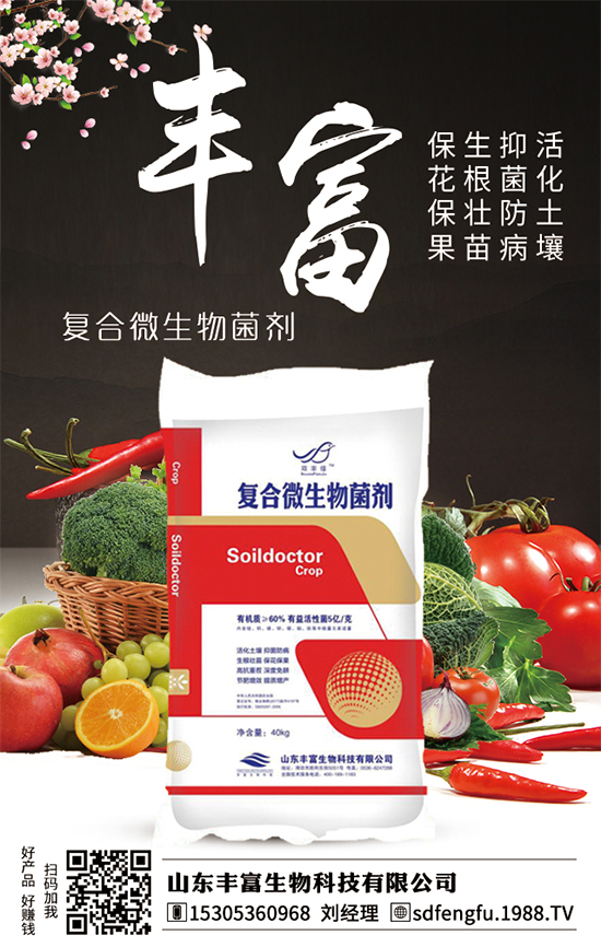 枇杷什么時(shí)間嫁接比較好?嫁接的枇杷樹幾年結(jié)果?(枇杷樹嫁接方法)