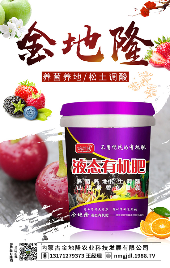 木耳菜多少錢(qián)一斤？2020木耳菜種植前景如何？（附種植技術(shù)）