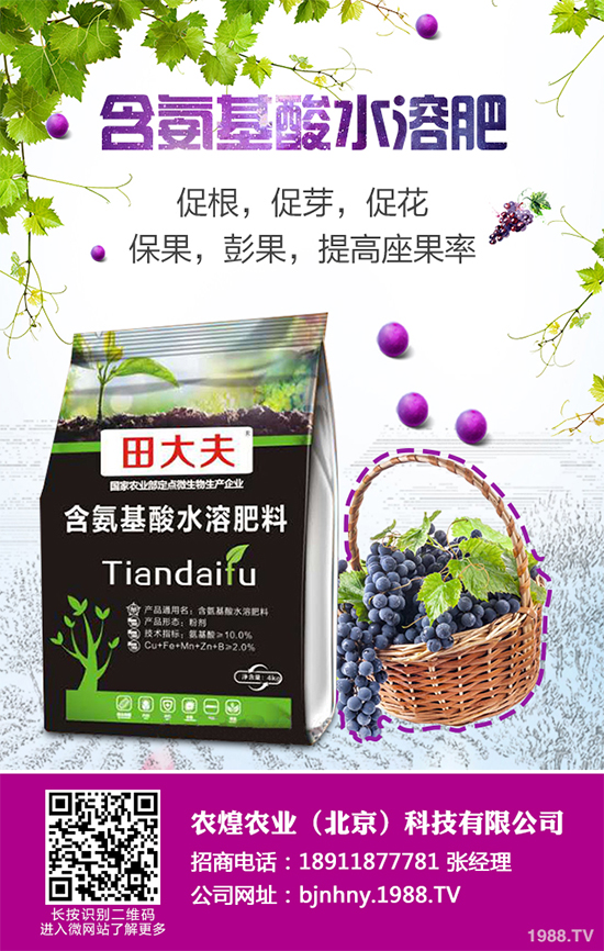 ��ѩ�^�����߲˴�����֪��ԓ��ô����᣿