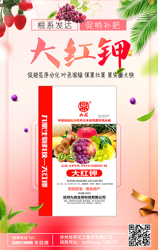 蘋果斑點落葉病啥癥狀？蘋果斑點落葉病怎么防治？
