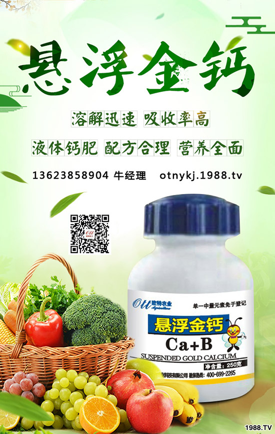 草莓得了葉枯病怎么辦，如何防治？草莓葉枯病防治方法！