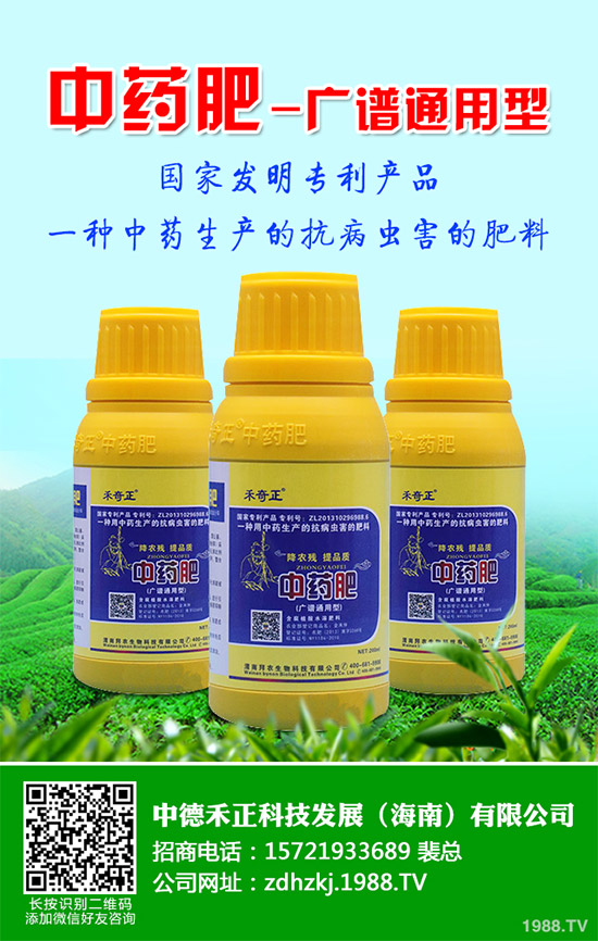 金線蓮有哪些營養(yǎng)價值？金線蓮的功效作用及食用方法