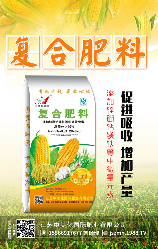 2019年12月31日今日最新復(fù)合肥價格行情動態(tài)早報！