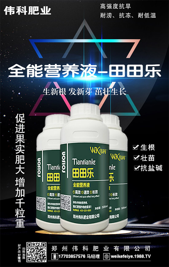     ���ӵĠI(y��ng)�B(y��ng)�r(ji��)ֵ����Щ����Ч�c��������Щ��������Щ��Ⱥʳ����