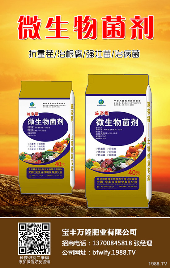 ����ʲô�r��Nֲ���������N���g(sh��)Ҫ�c(di��n)���Y(ji��)