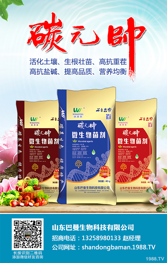 木耳菜有哪些營養(yǎng)價(jià)值？木耳菜的功效作用