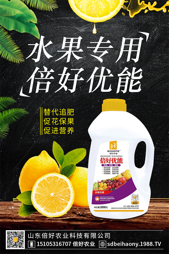 木耳菜有哪些營養(yǎng)價(jià)值？木耳菜的功效作用