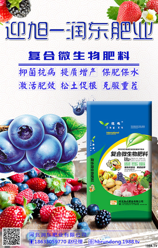 ���@��ʲô���݄��������@������ô�x����݄���