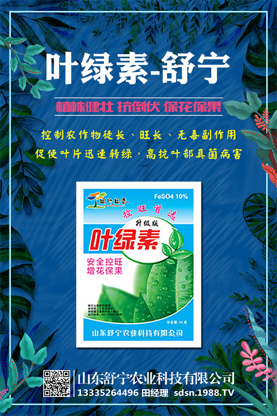 小南瓜對環(huán)境條件有什么要求?小南瓜高產種植要點!
