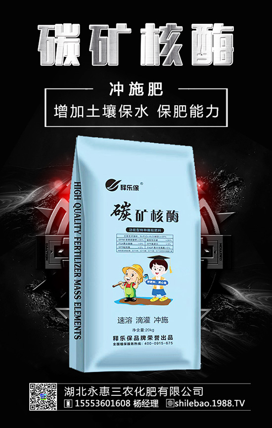 �����롰���������������ʲ����^�L������������