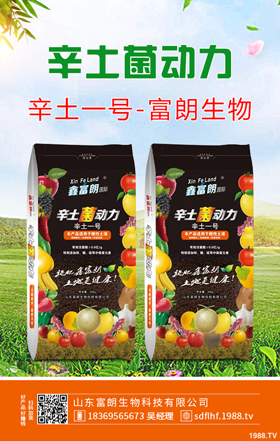     2019年12月6日二銨交投持續(xù)清淡！今日最新二銨主流出廠報價！