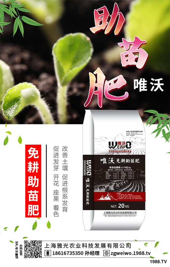     ɽˎʲô�r(sh��)�������ɽˎ���A�ط�������Щ��